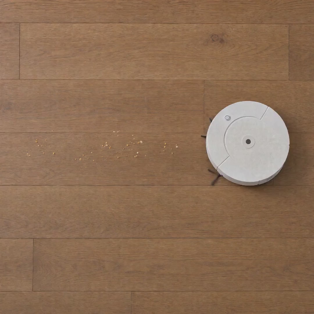 Robot Vacuum and Mop - video
